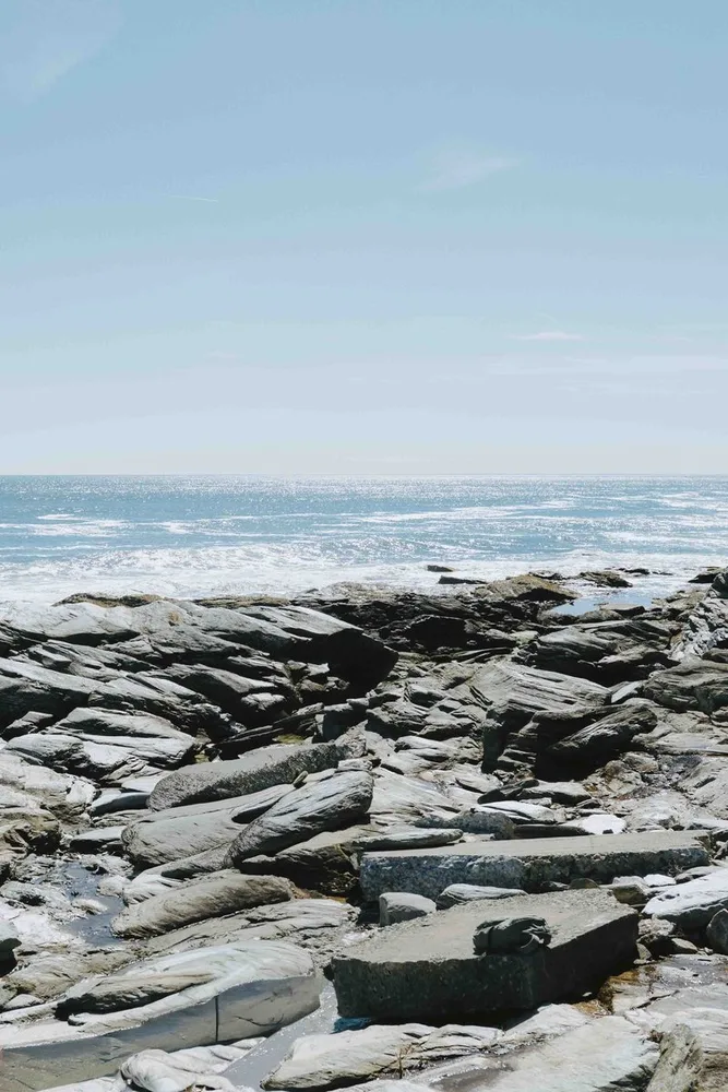 K. & C.'s wedding at Beavertail State Park, Rhode Island, photograph 25 of 42